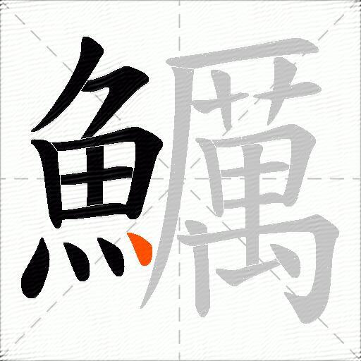 鱱