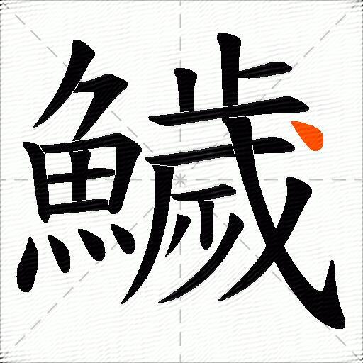 鱥