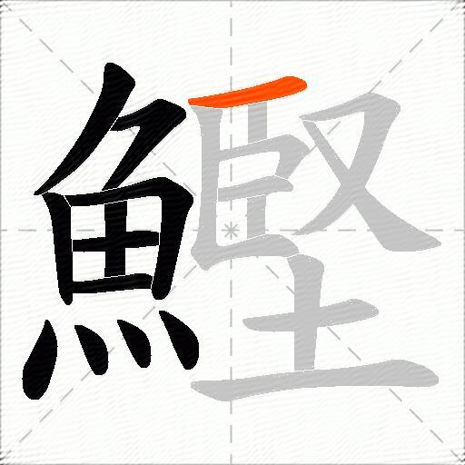 鰹