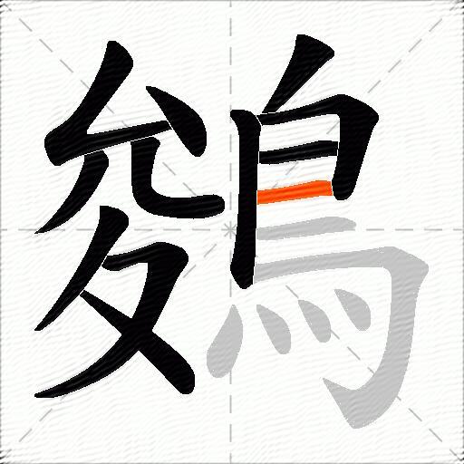 鵕