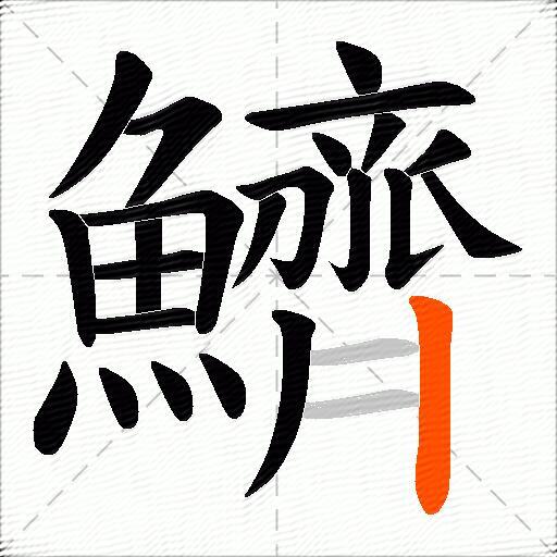 鱭