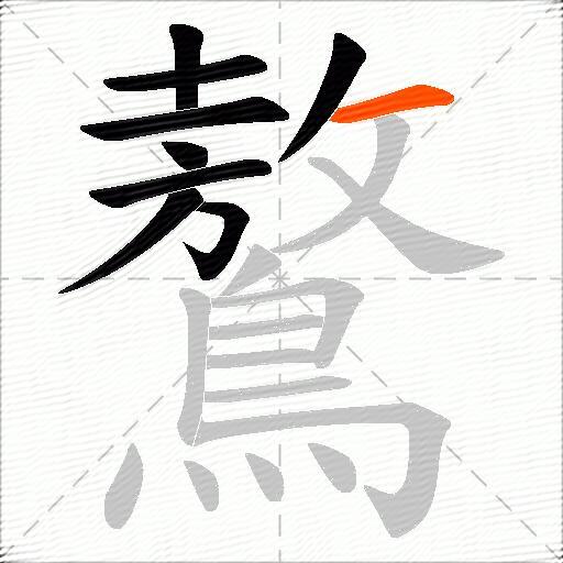 鷔