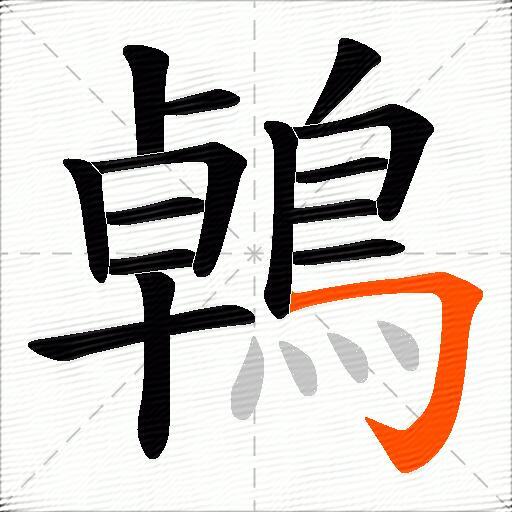 鵫