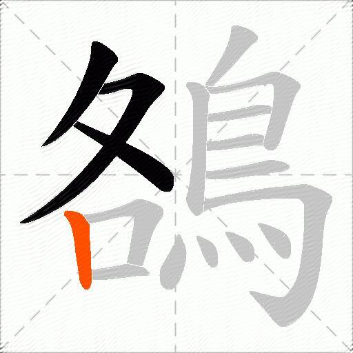 鵅