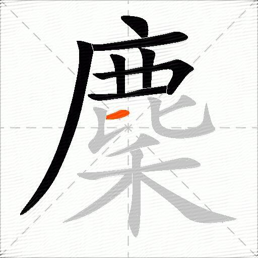 麇