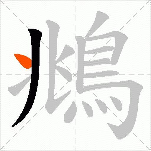鴵
