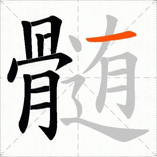 髄