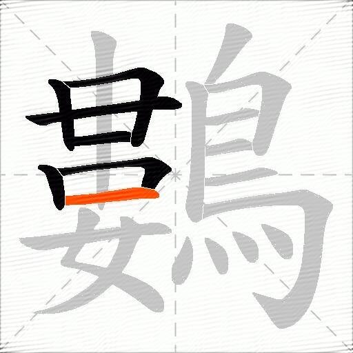 鷜