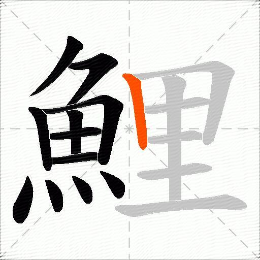 鯉