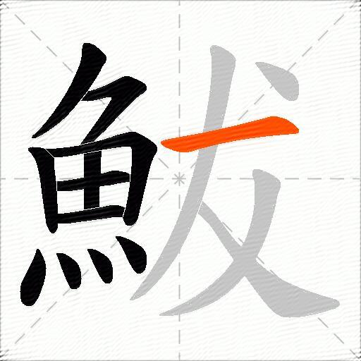 鮁