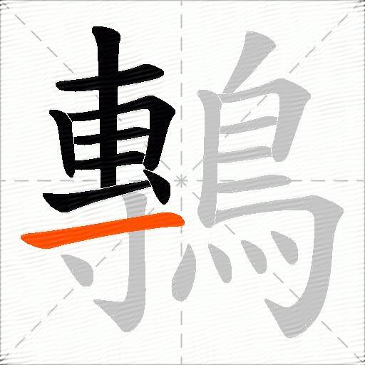 鷒