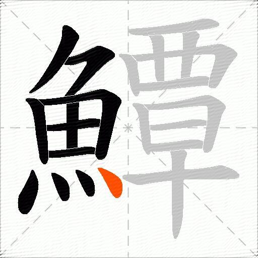鱏
