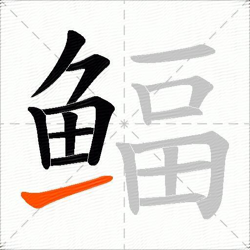 鲾