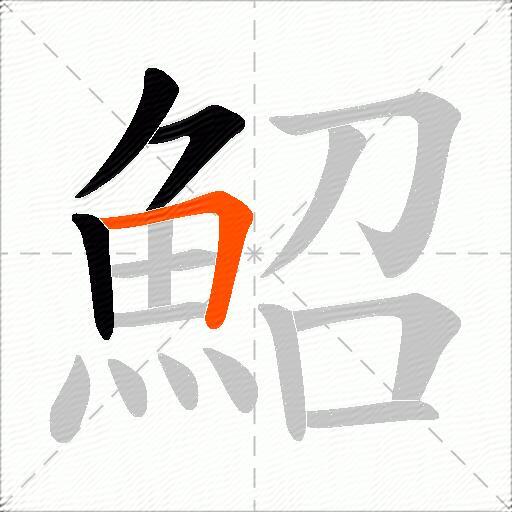 鮉