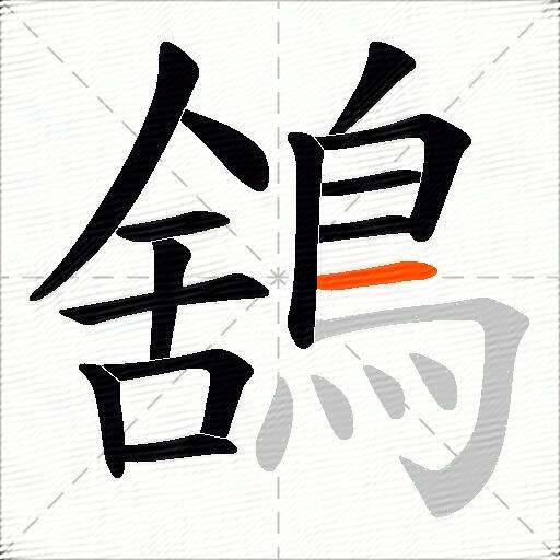鵨