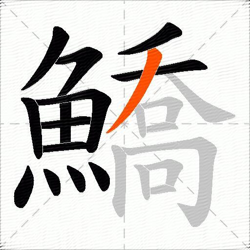 鱎