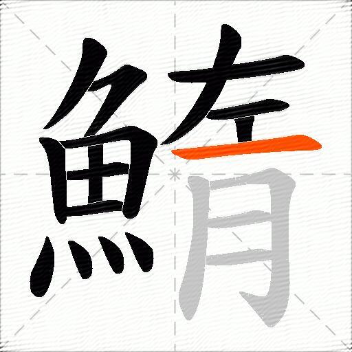 鰖