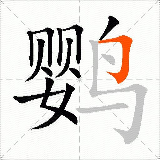 鹦