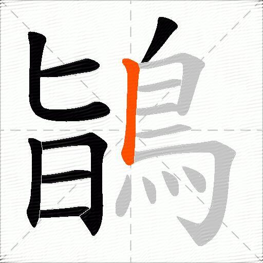 鴲