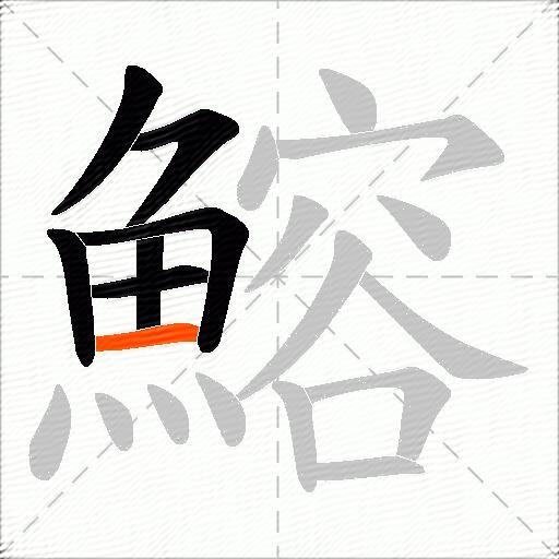 鰫