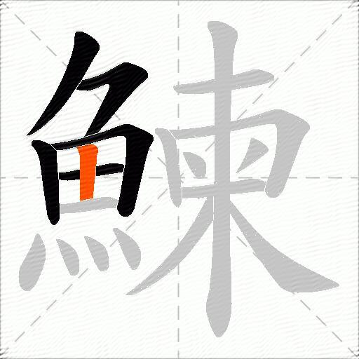 鰊