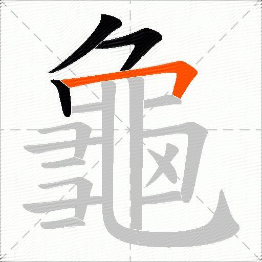 龜