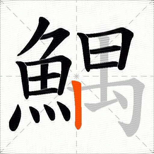 鰅
