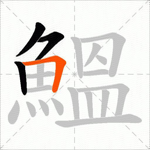 鰮