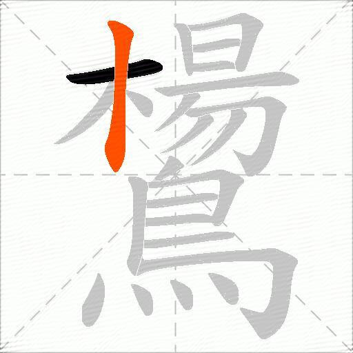 鸉