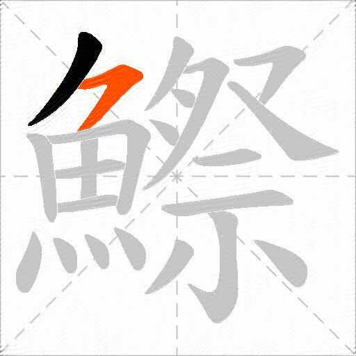 鰶