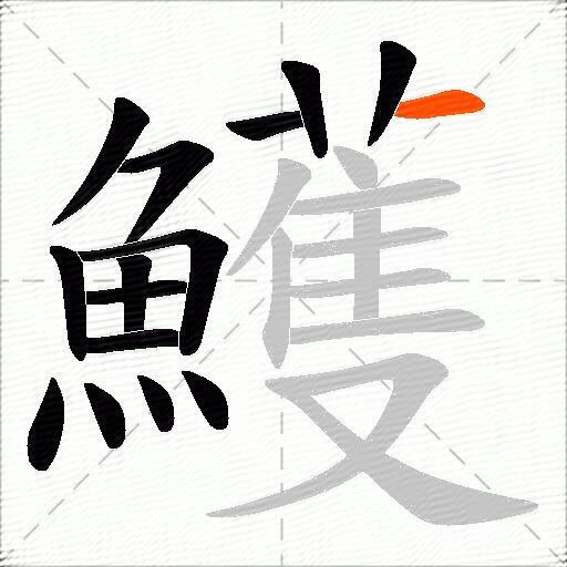 鱯