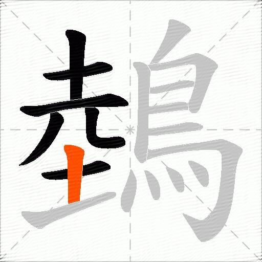 鵱