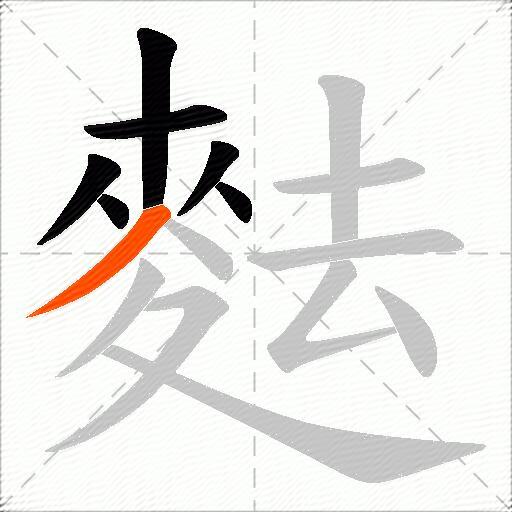 麮