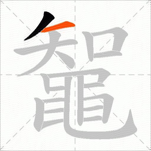 鼅
