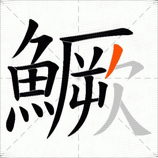 鱖
