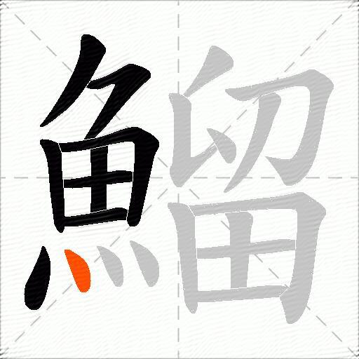 鰡