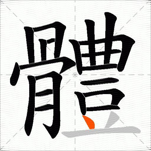 體
