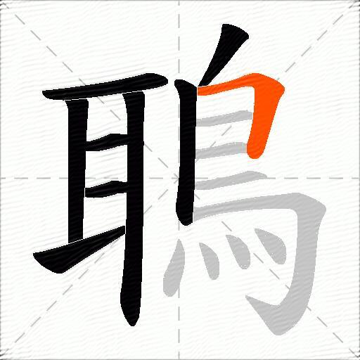 鵈
