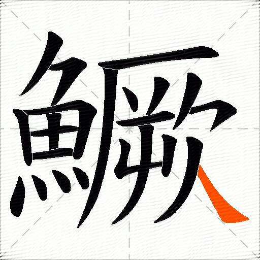 鱖