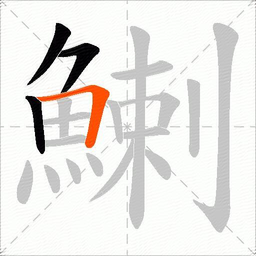 鯻