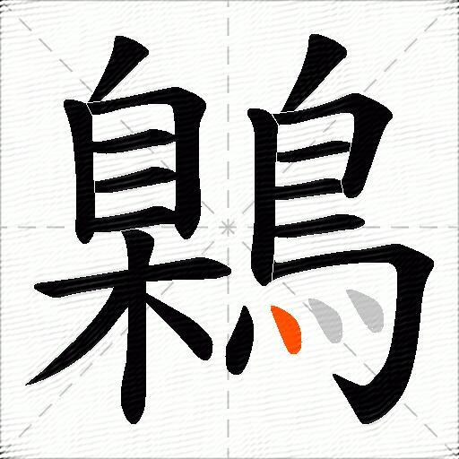 鷍