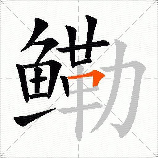 鳓