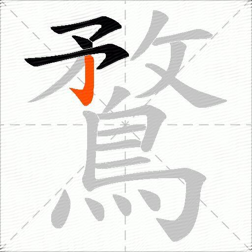 鶩