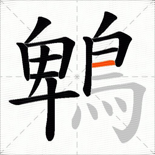 鵯