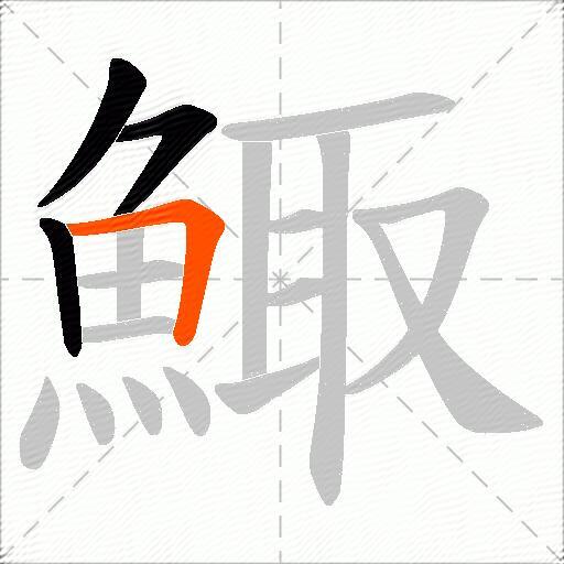 鯫