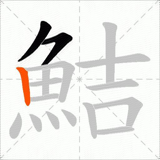 鮚