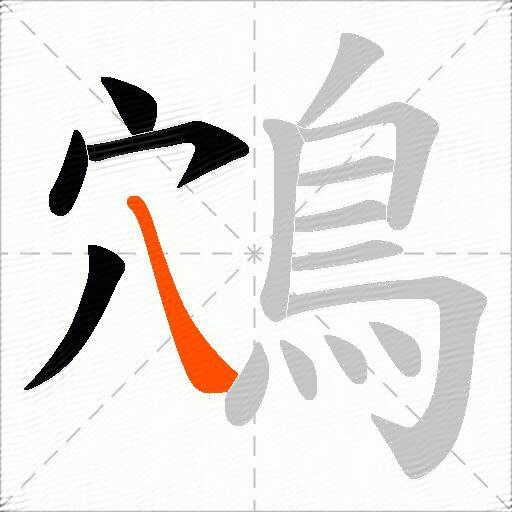鴪