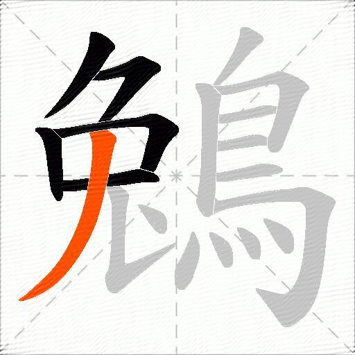 鵵