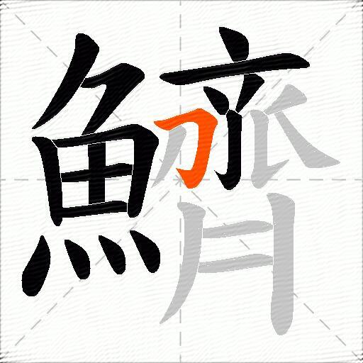 鱭