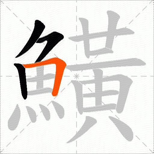 鱑